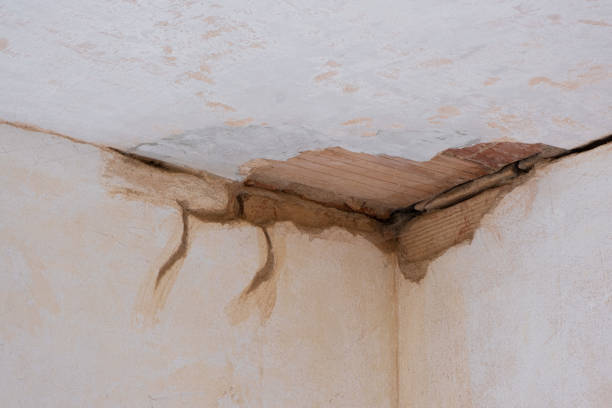 Best Fire Damage Restoration  in Camden, NJ