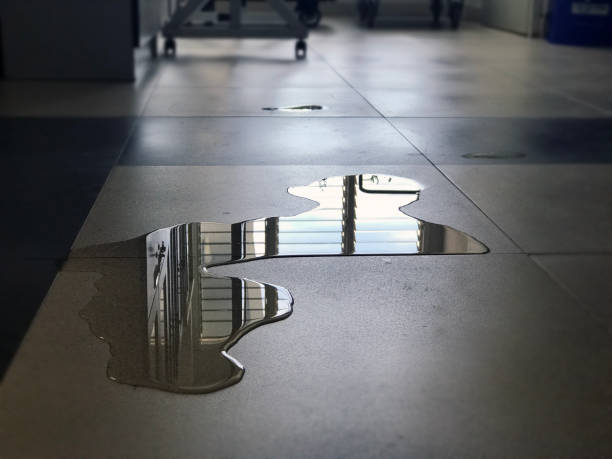 Best Water damage contractors near me  in Camden, NJ