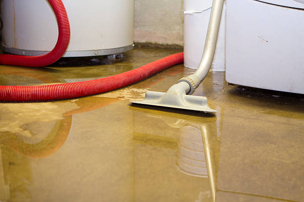 Best Water damage restoration company  in Camden, NJ