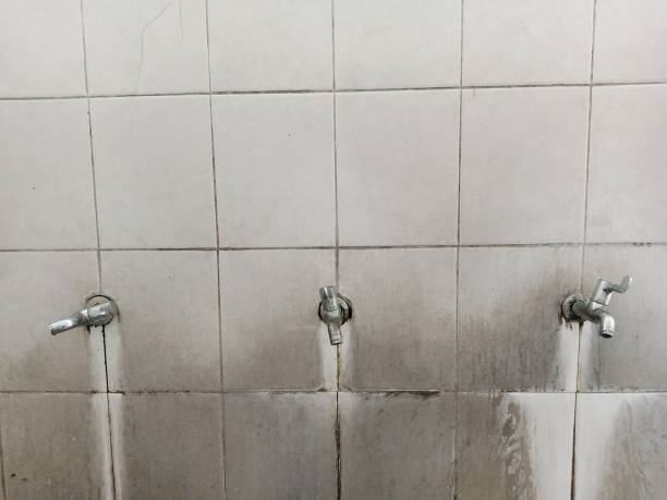 Best Water damage restoration process  in Camden, NJ