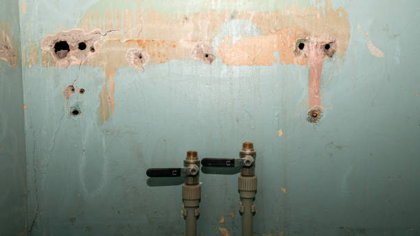 Water damage restoration mold remediation in Camden, NJ