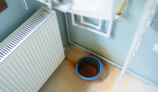 Best Carpet water damage restoration  in Camden, NJ