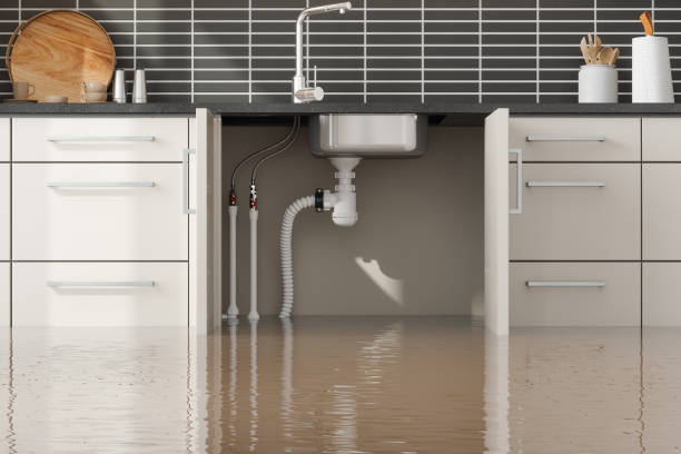 Best Ceiling water damage repair  in Camden, NJ