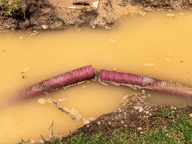 Best Flood restoration services  in Camden, NJ