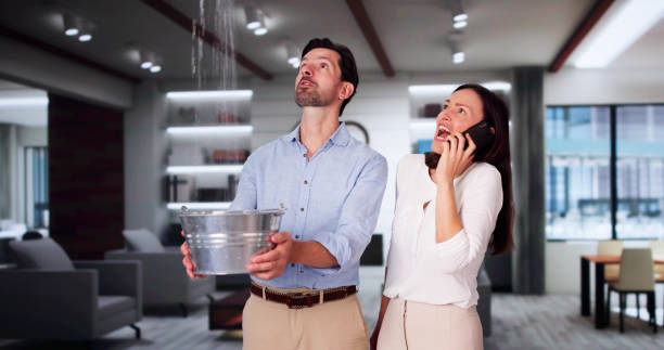 Best Professional water damage repair  in Camden, NJ